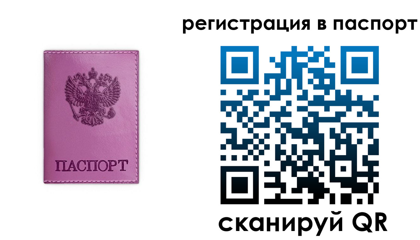 прописка в Оленегорске